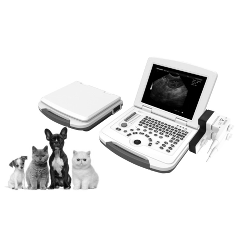 VC-10 B/W Laptop Ultrasound  Scanner