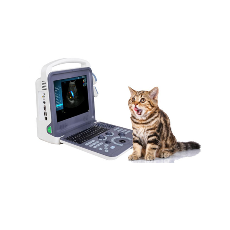 VC-12 Portable Veterinary Color Doppler Ultrasound Scanner