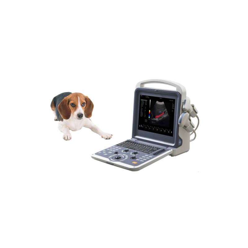 VC-14 Portable Veterinary Color Doppler Ultrasound Scanner-Portable Veterinary Color Doppler Ultrasound Scanner