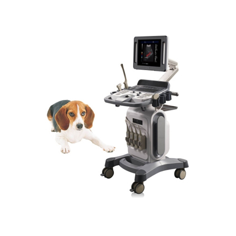 VC-16 Trolley Veterinary Color Doppler Ultrasound Scanner-Trolley Veterinary Color Doppler Ultrasound Scanner