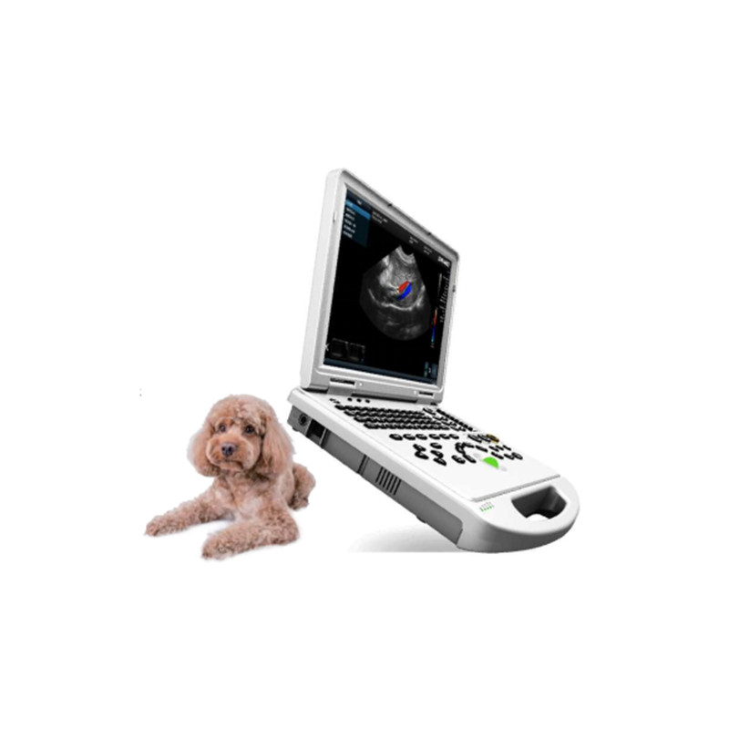 VC-6 Pro Portable Color Doppler Ultrasound Scanner