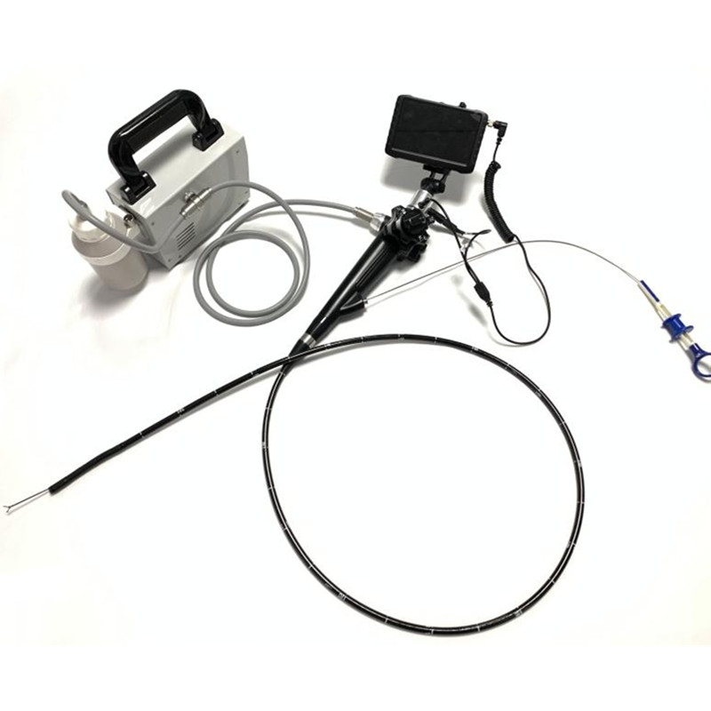 5 Inch Series Portable VET Gastroscope & Colonoscope