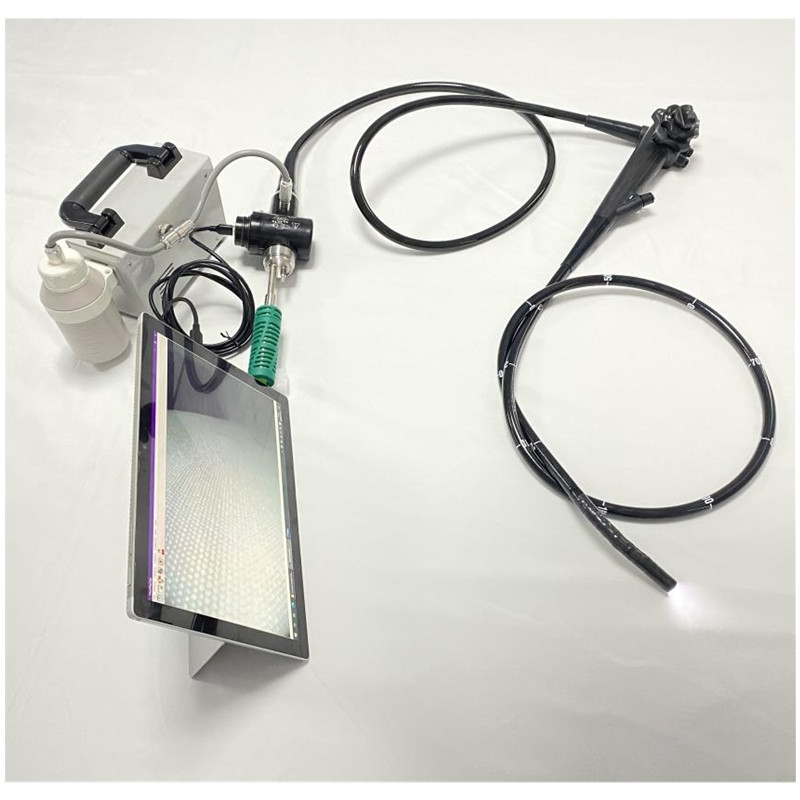 VED-USB VET  Gastroscope & Colonoscope-VET  Gastroscope & Colonoscope